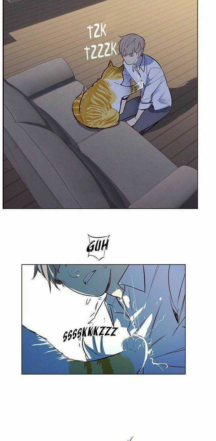 Hoá Thân Thành Mèo - Eleceed Chapter 8 trang 47