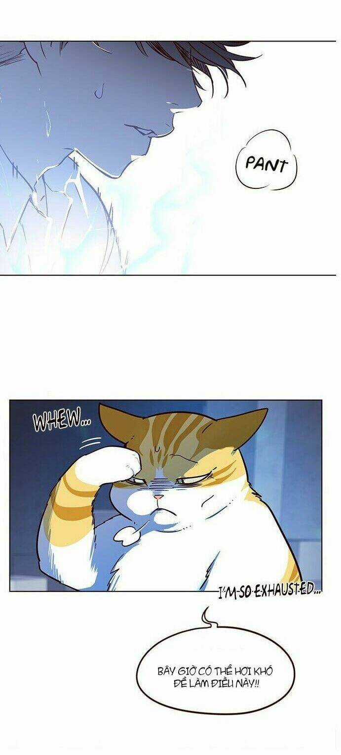 Hoá Thân Thành Mèo - Eleceed Chapter 8 trang 52