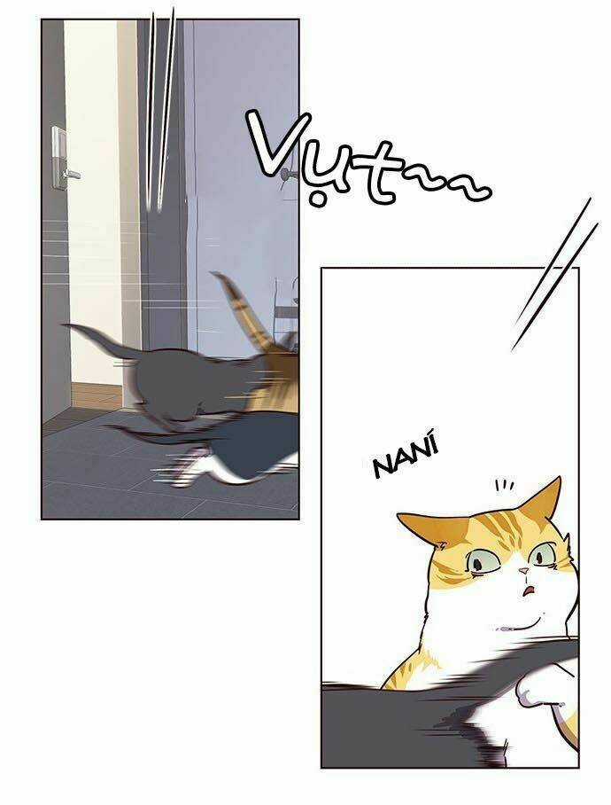 Hoá Thân Thành Mèo - Eleceed Chapter 9 trang 32