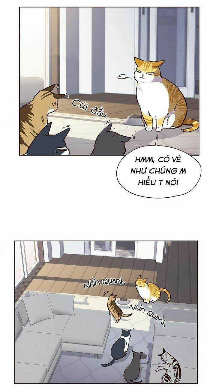 Hoá Thân Thành Mèo - Eleceed Chapter 9 trang 35