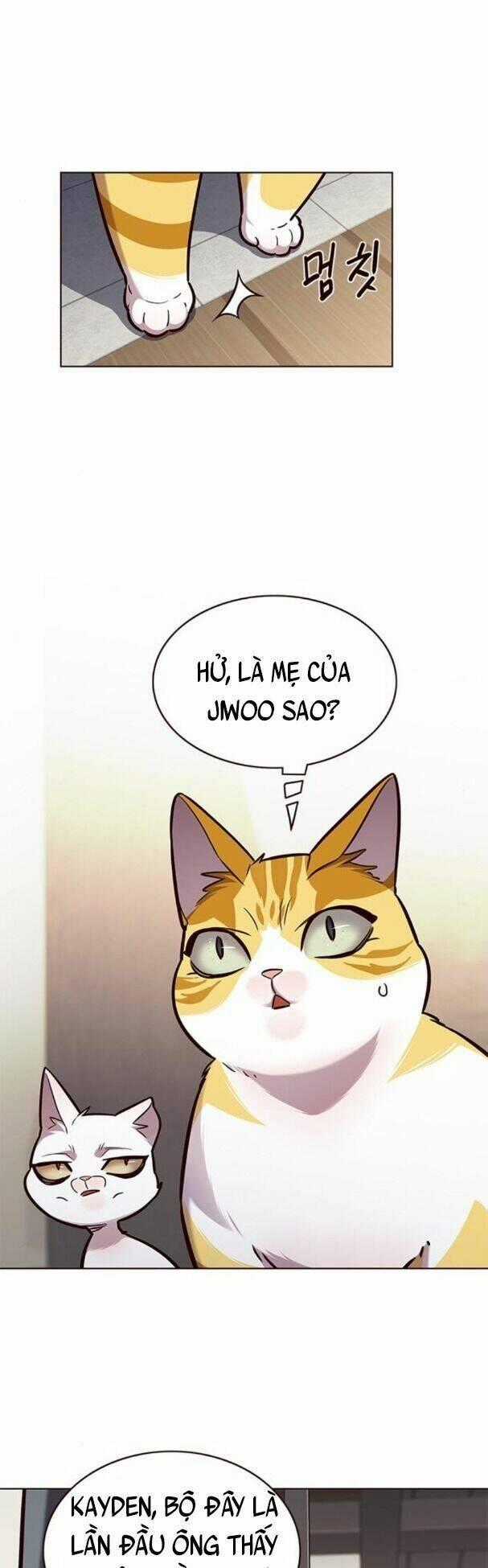 Hoá Thân Thành Mèo Chuong 177 trang 0
