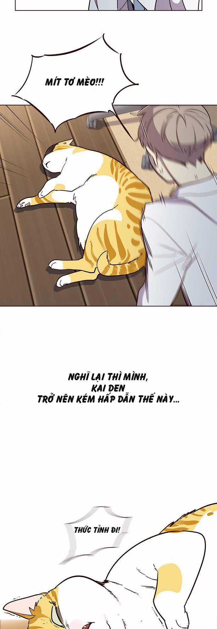 Hoá Thân Thành Mèo Chương 2 trang 1