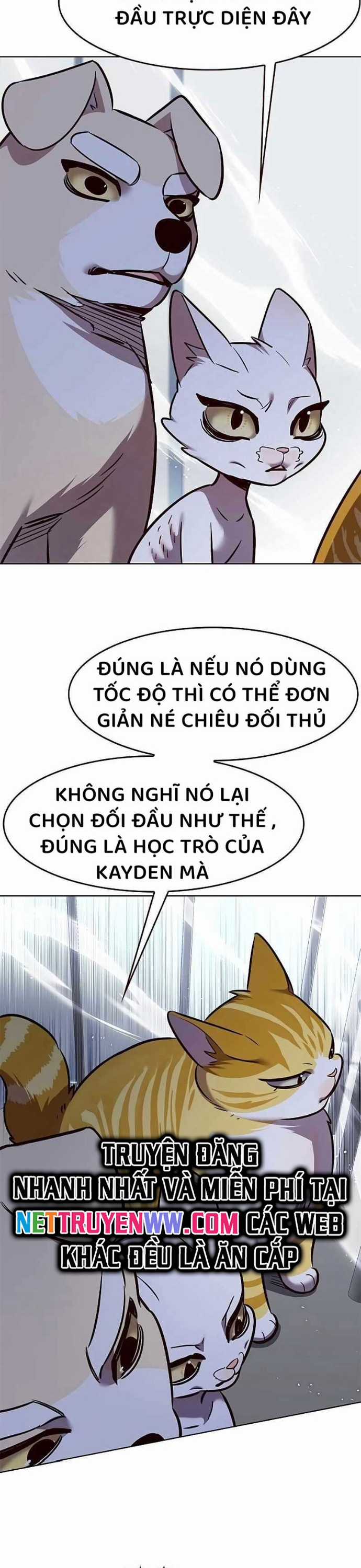 Hoá Thân Thành Mèo Chương 324 trang 36