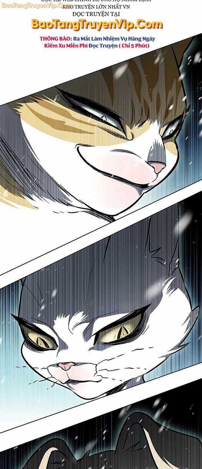 Hoá Thân Thành Mèo Chương 334 trang 105