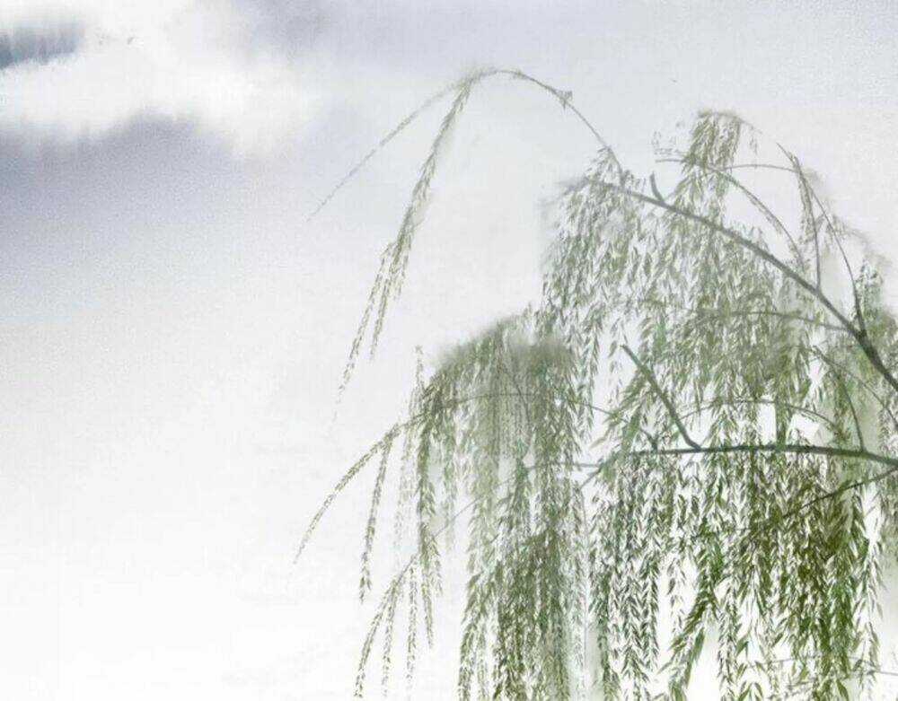 Họa Tiên Truyện Chapter 9 trang 18