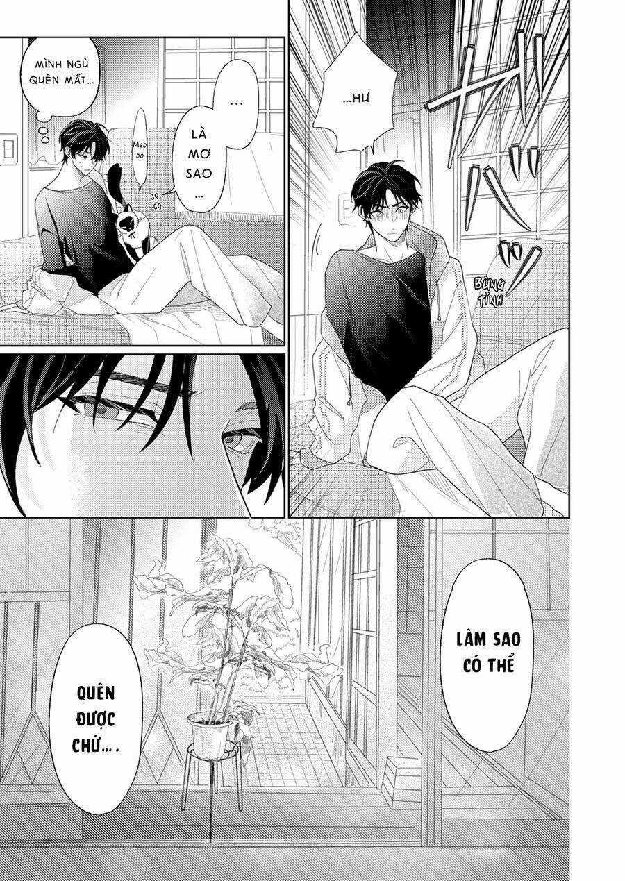 Hoa Trà Đợi Xuân Nở Yêu Thương Chapter 9 trang 12