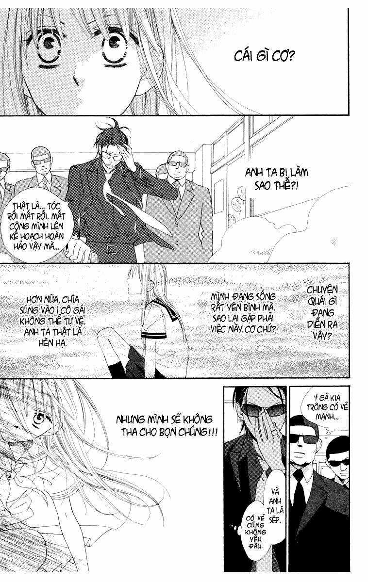 Hoa Trong Bão Chapter 1 trang 7