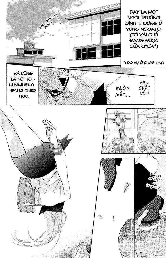 Hoa Trong Bão Chapter 2 trang 4