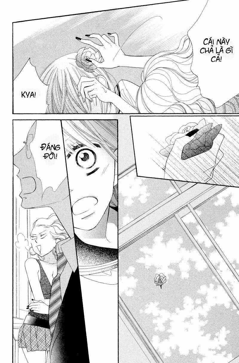 Hoa Trong Bão Chapter 5 trang 13