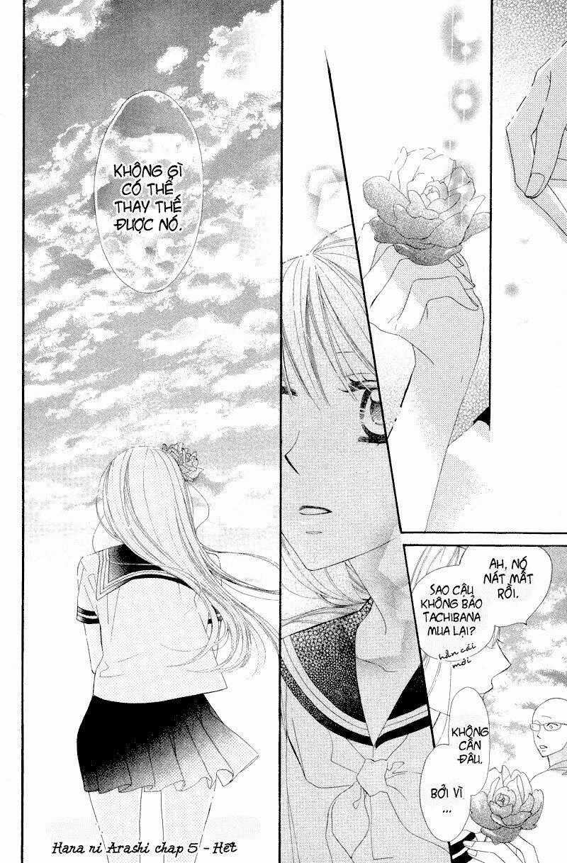 Hoa Trong Bão Chapter 5 trang 31