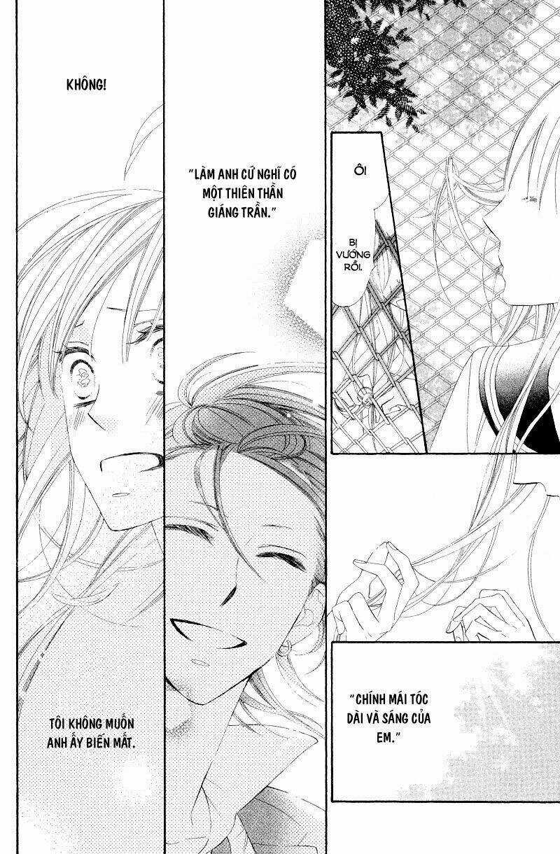 Hoa Trong Bão Chapter 8 trang 19