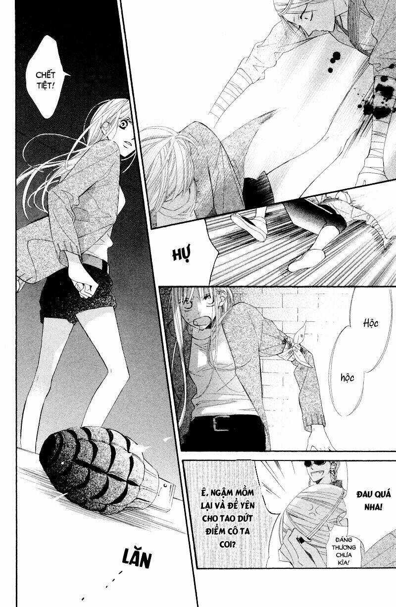 Hoa Trong Bão Chapter 9 trang 9