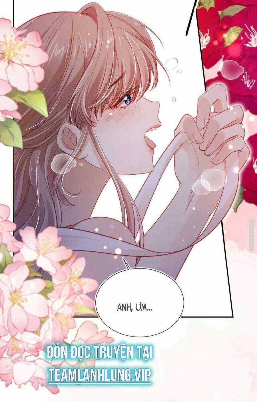 Hoắc Thiếu Lại Phải Theo Đuổi Vợ Yêu Rồi Chapter 39 trang 12