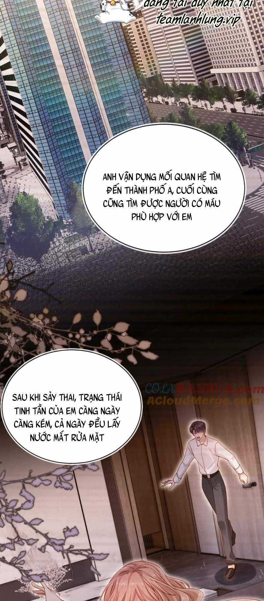 Hoắc Thiếu Lại Phải Theo Đuổi Vợ Yêu Rồi Chapter 41 trang 41
