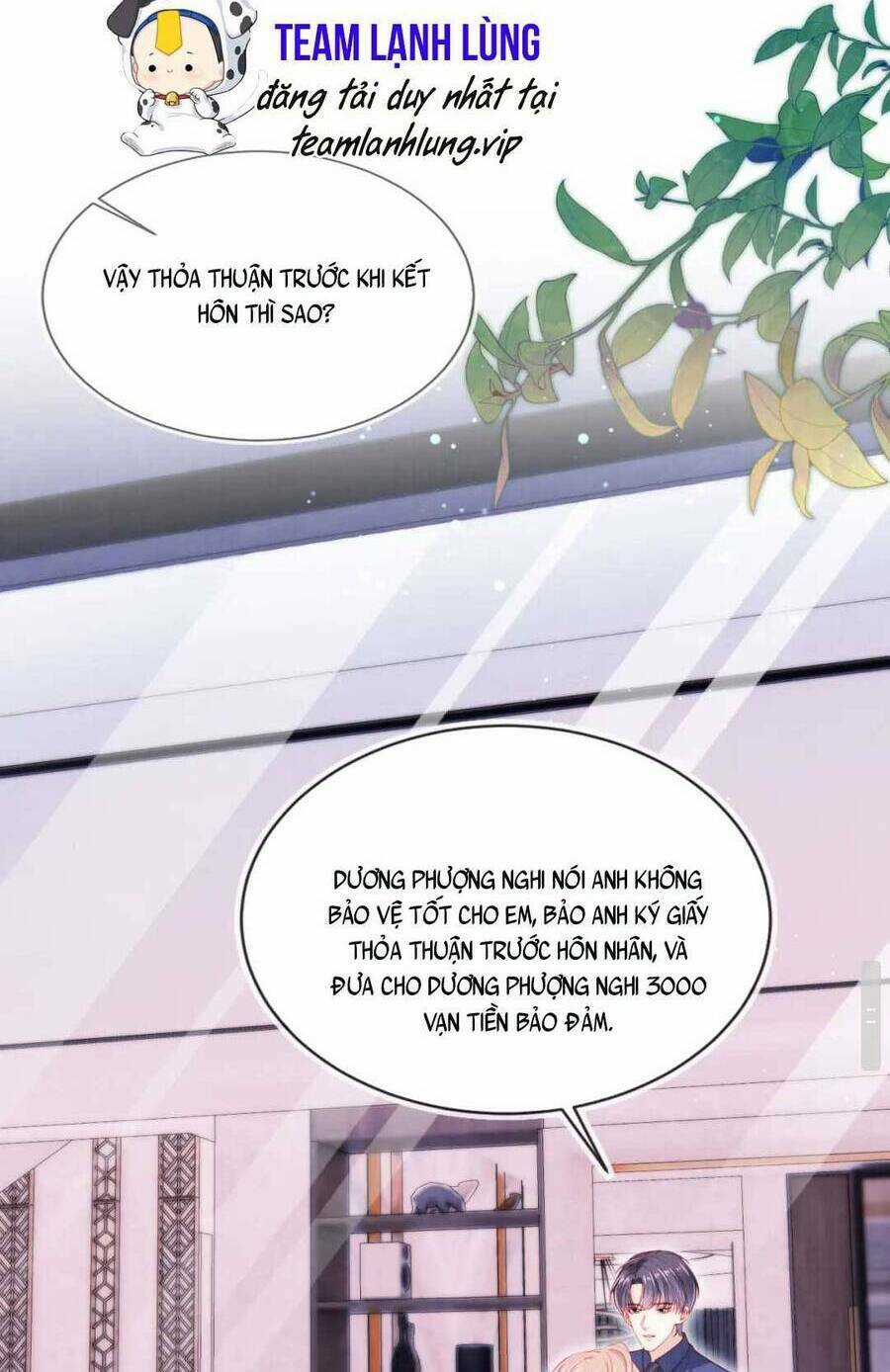 Hoắc Thiếu Lại Phải Theo Đuổi Vợ Yêu Rồi Chapter 42 trang 11