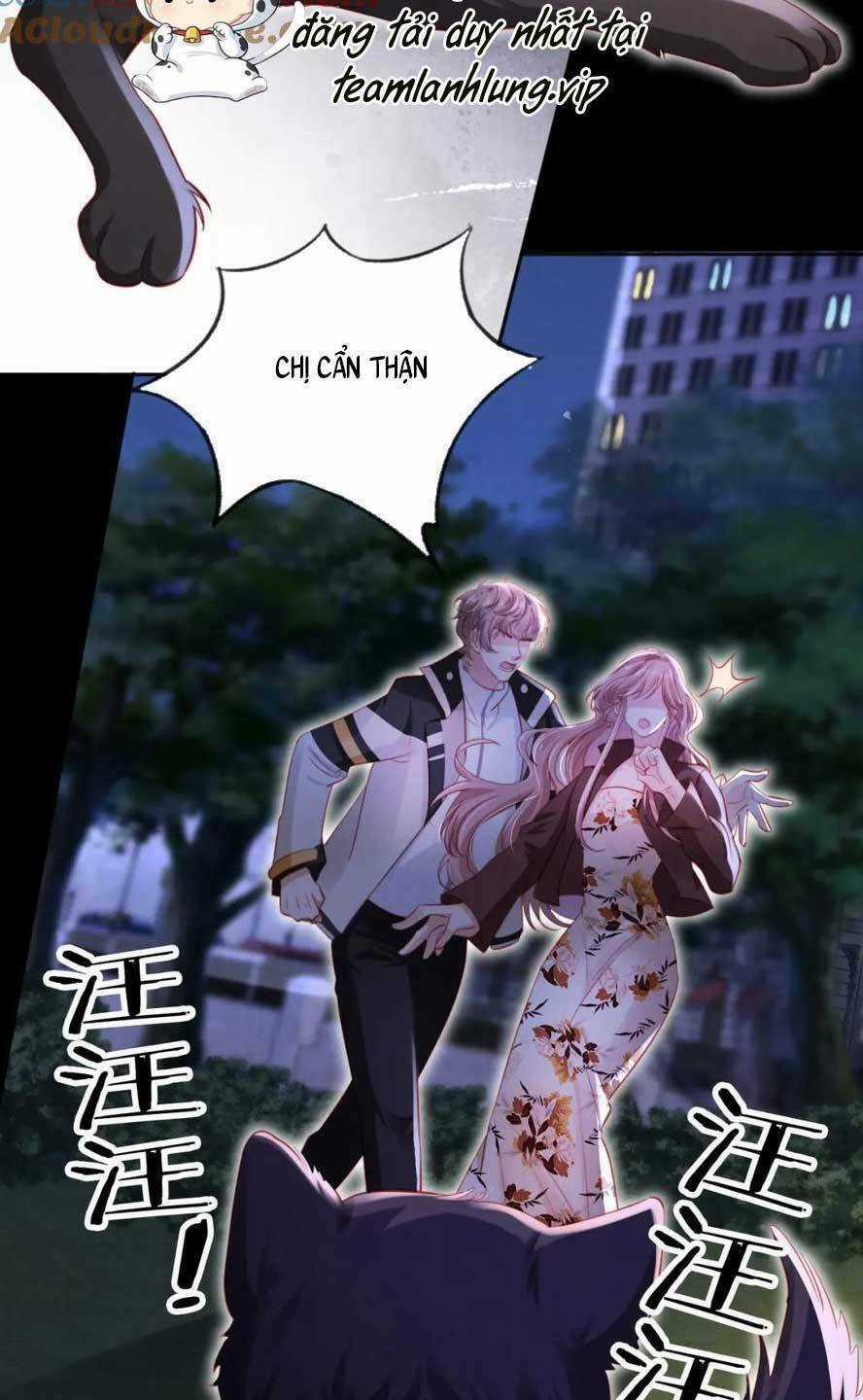 Hoắc Thiếu Lại Phải Theo Đuổi Vợ Yêu Rồi Chapter 49 trang 36