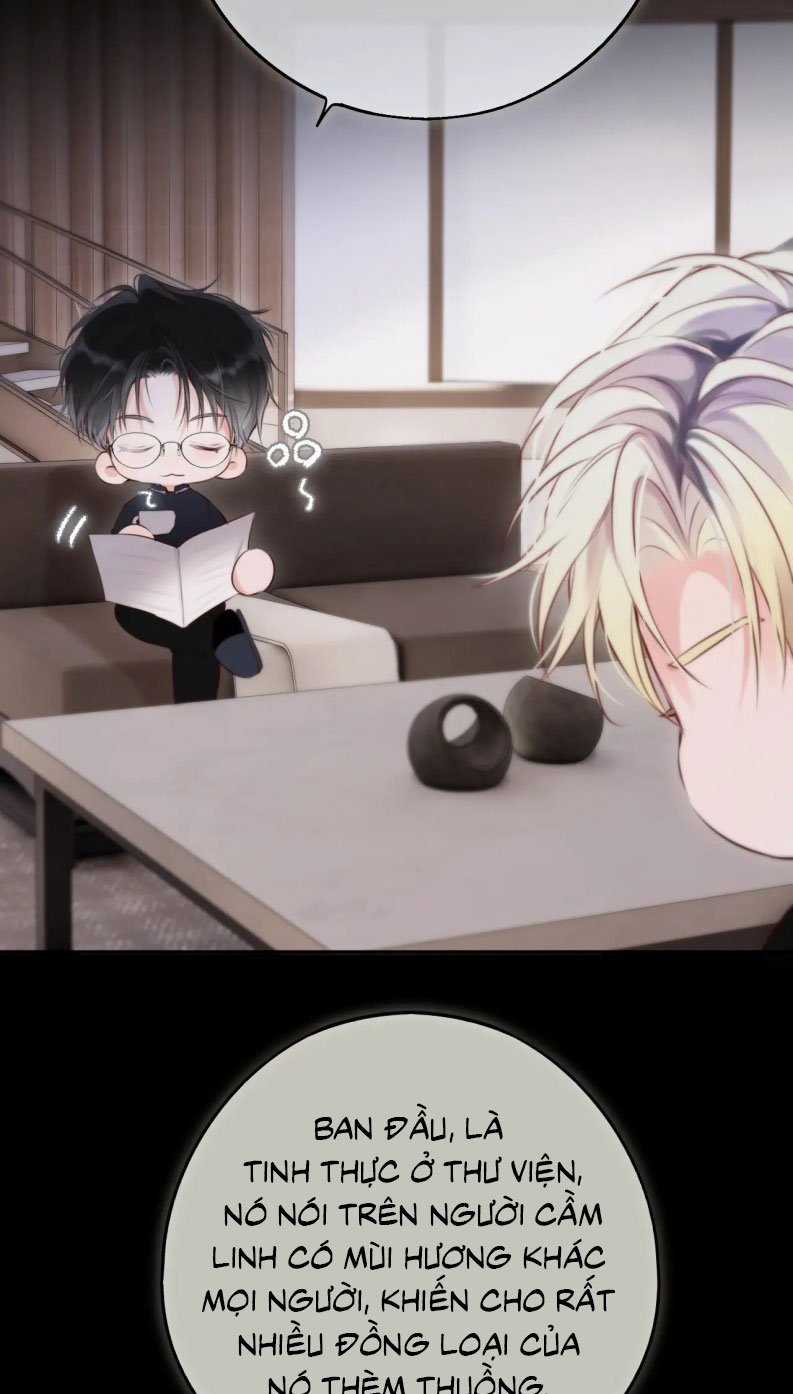 Hoặc Tinh Chi Mục Chapter 12 trang 47