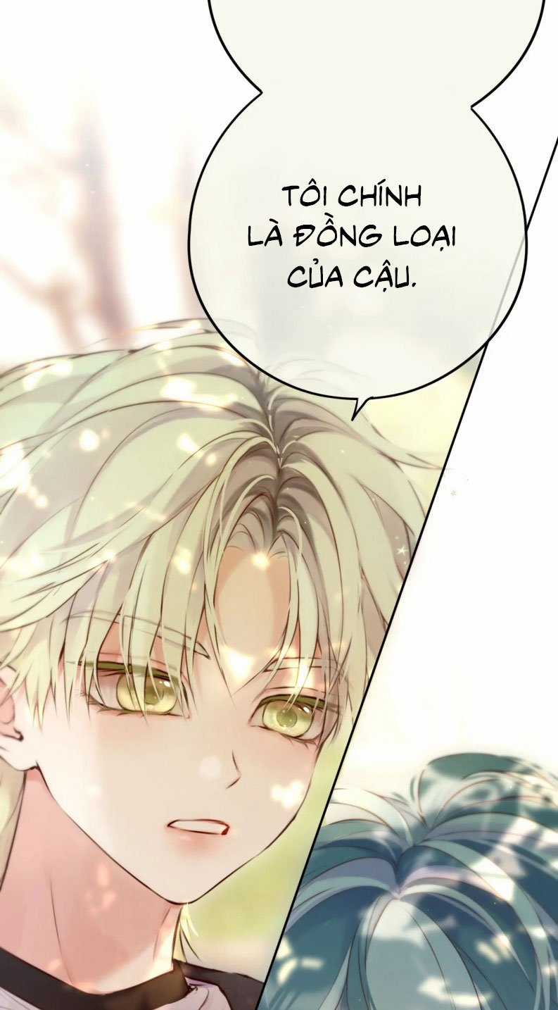 Hoặc Tinh Chi Mục Chapter 16 trang 42