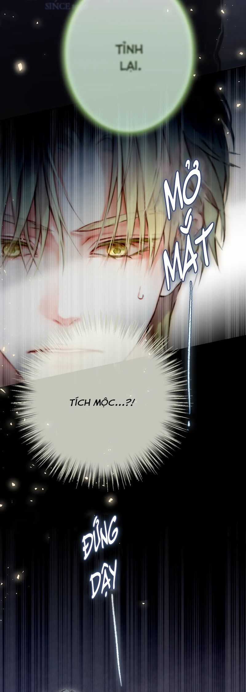 Hoặc Tinh Chi Mục Chapter 8 trang 12