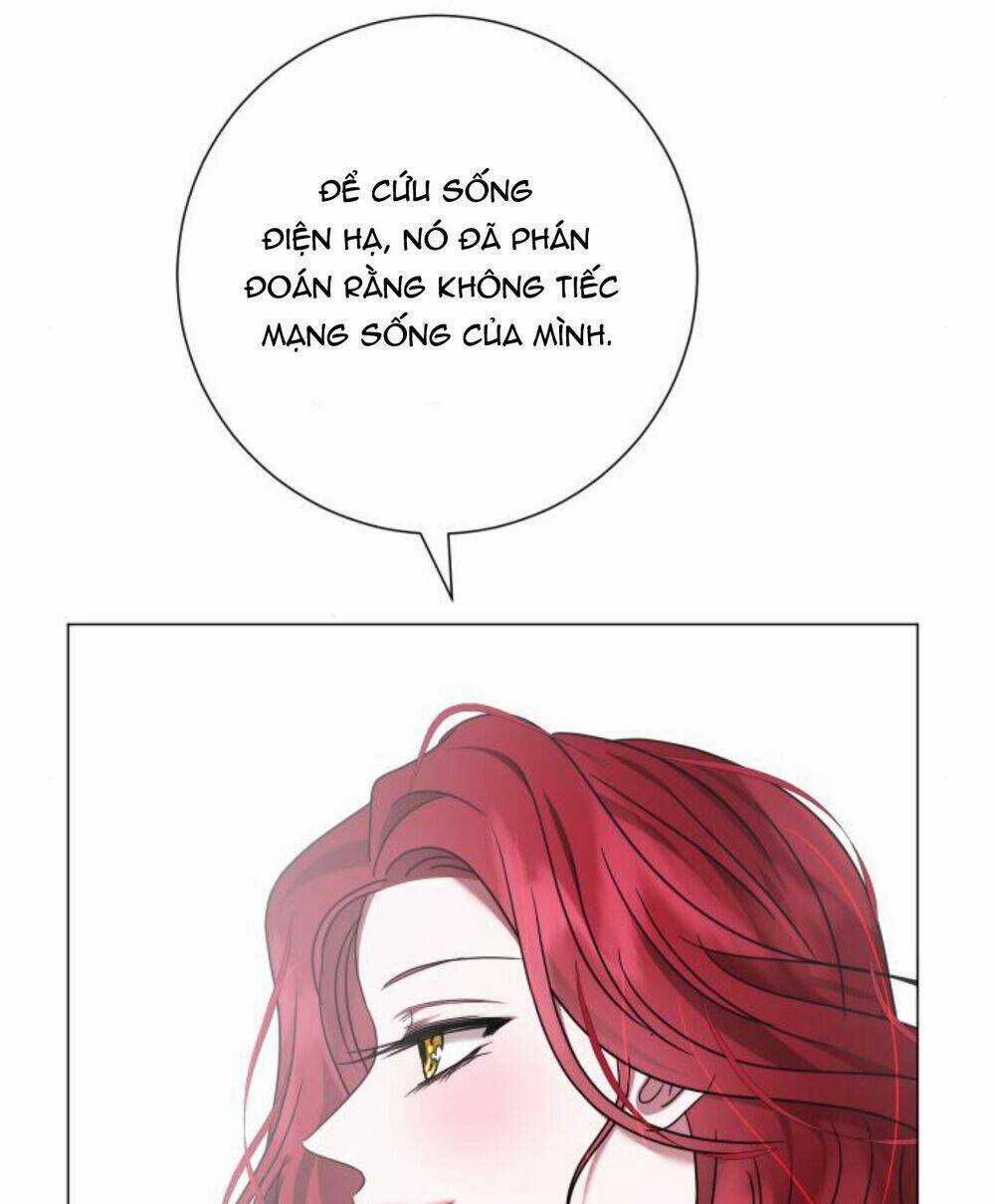 Hoán Đổi Linh Hồn Chapter 25 trang 67