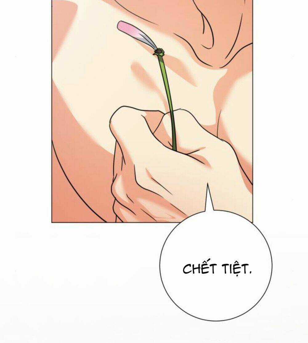 Hoán Đổi Linh Hồn Chapter 29 trang 75