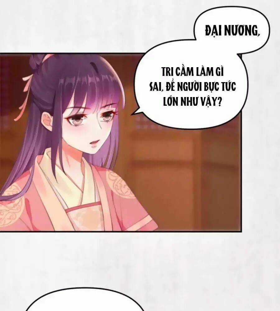Hoạn Phi Hoàn Triều Chapter 31 trang 42