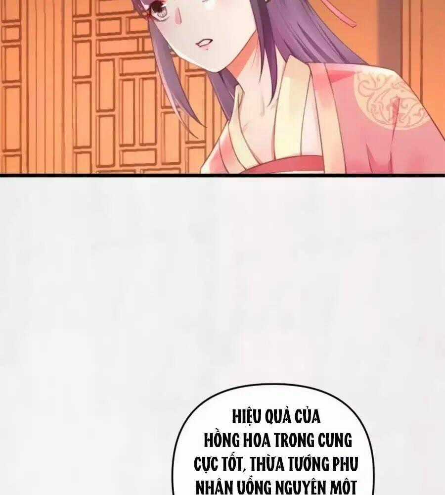 Hoạn Phi Hoàn Triều Chapter 33 trang 1