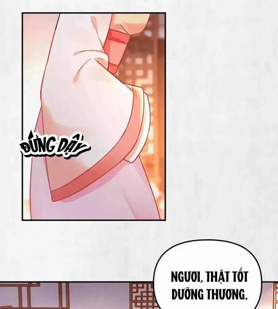 Hoạn Phi Hoàn Triều Chapter 44 trang 1