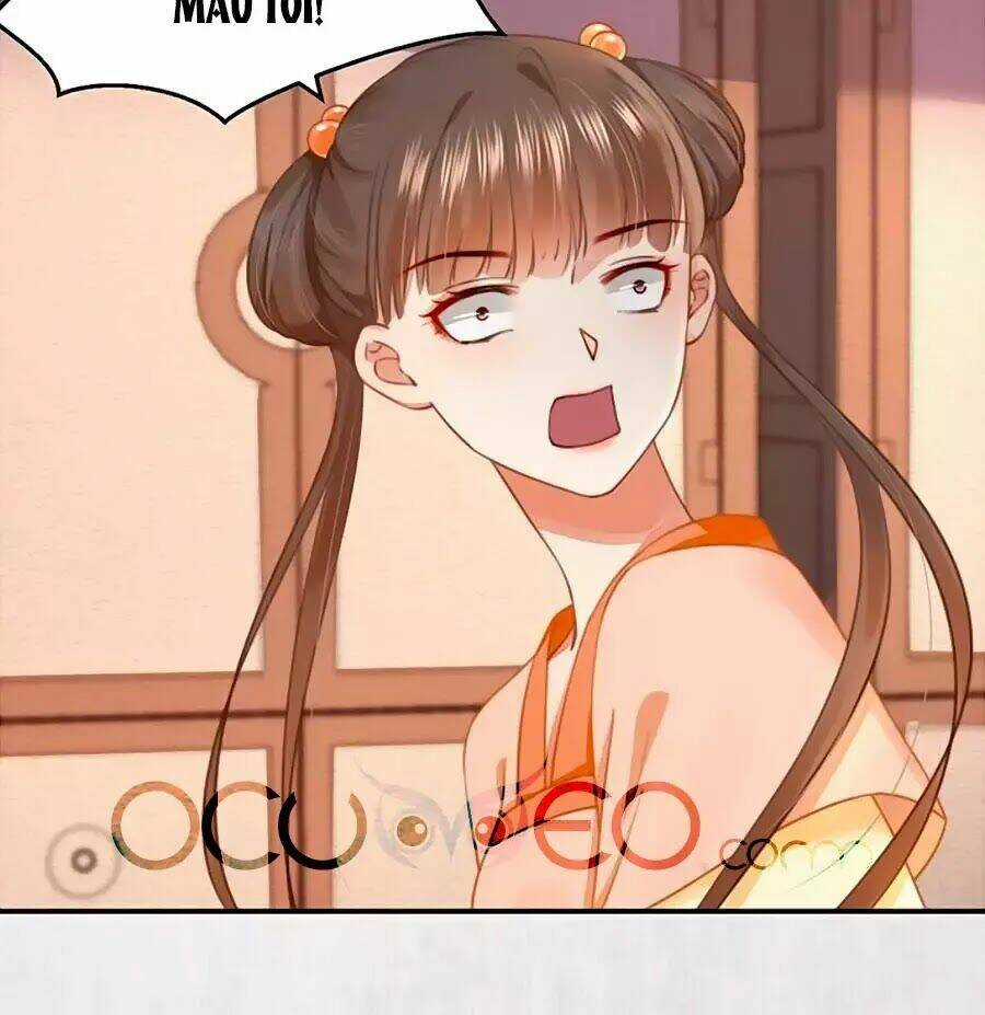 Hoạn Phi Hoàn Triều Chapter 61 trang 8