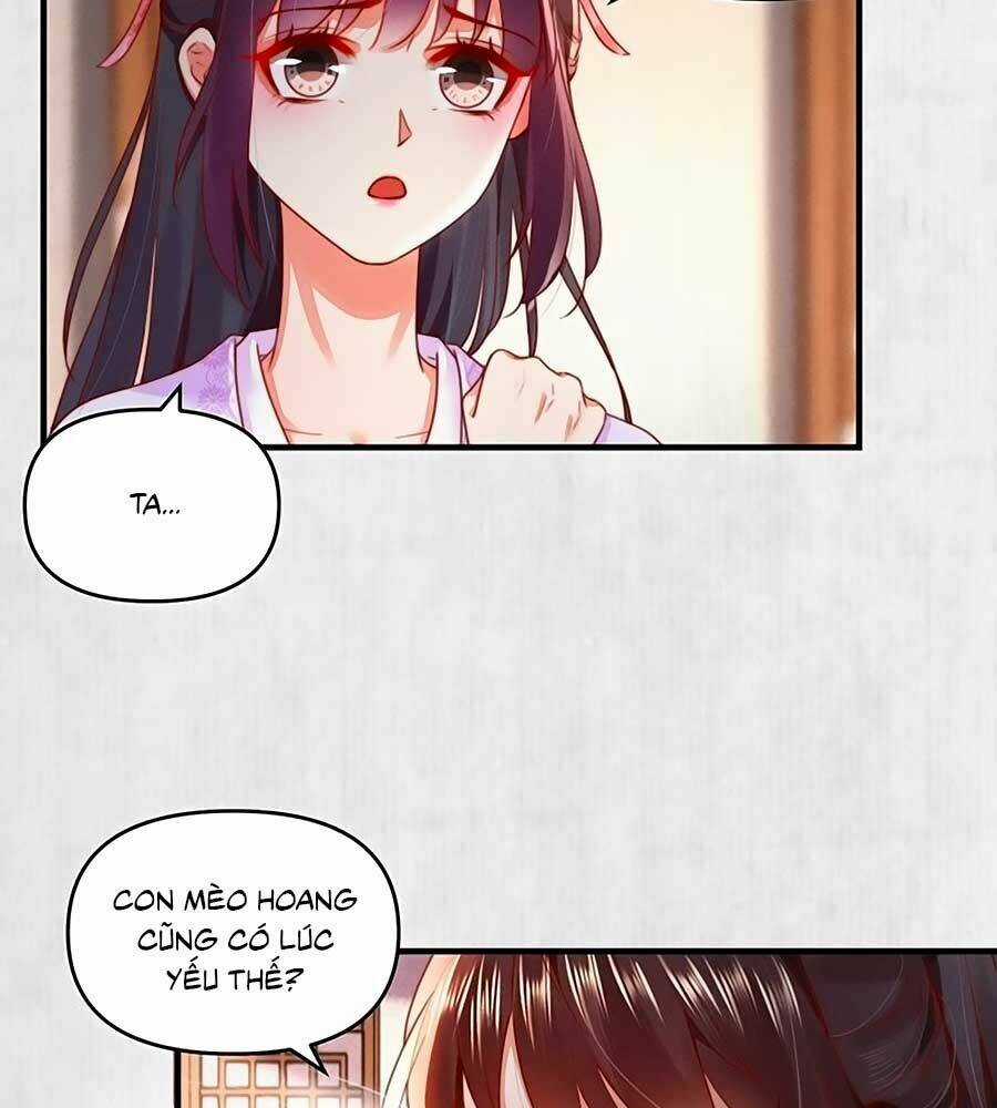 Hoạn Phi Hoàn Triều Chapter 90 trang 44