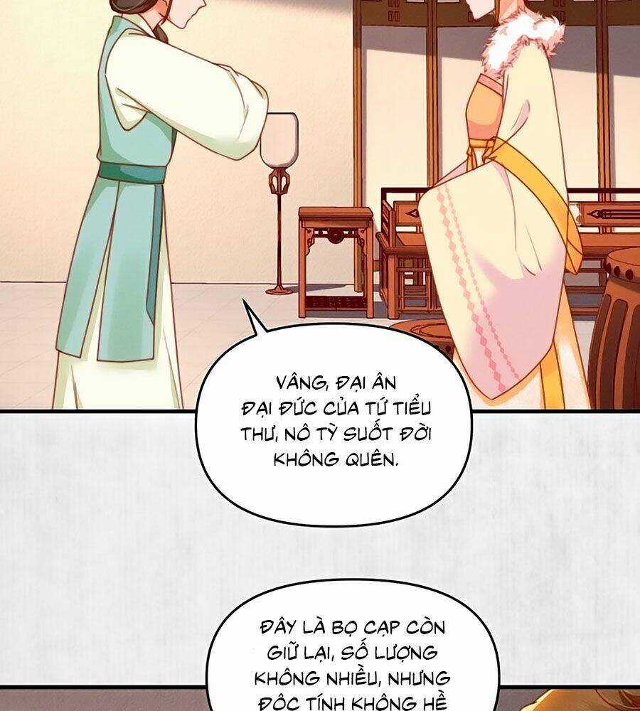 Hoạn Phi Hoàn Triều Chapter 95 trang 33