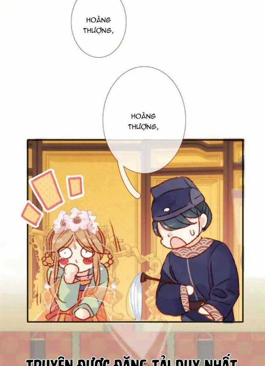 Hoàng Đế Bệ Hạ : Cùng Ta Đi Ăn Xin Nào Chapter 12 trang 26