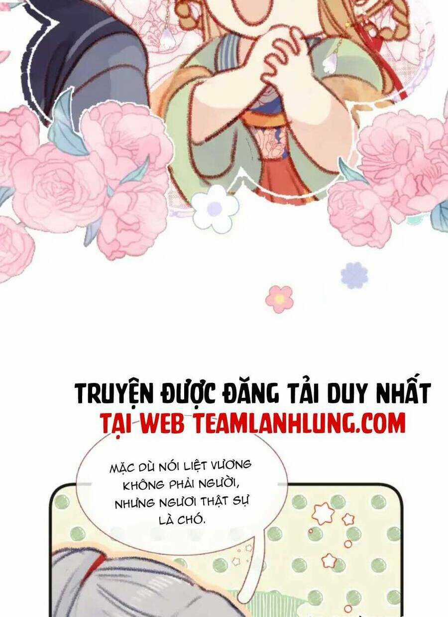 Hoàng Đế Bệ Hạ : Cùng Ta Đi Ăn Xin Nào Chapter 12 trang 49