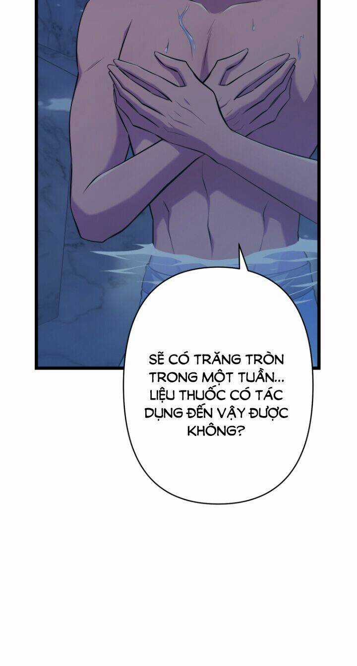 Hoàng Đế Bệ Hạ Là Mãnh Thú Chapter 47 trang 70