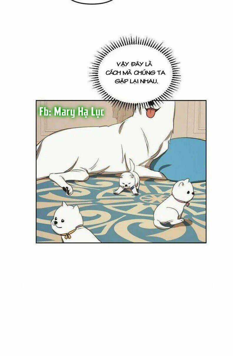 Hoàng Đế Đảo Ngược Thời Gian Chapter 11 trang 37