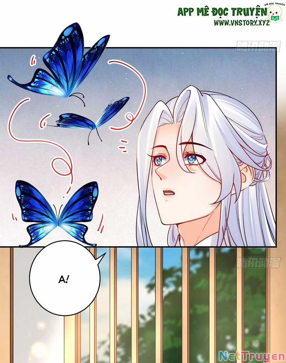 Hoàng Đệ Đừng Nhấc Đao Chapter 48: Bình sinh như mộng trang 18