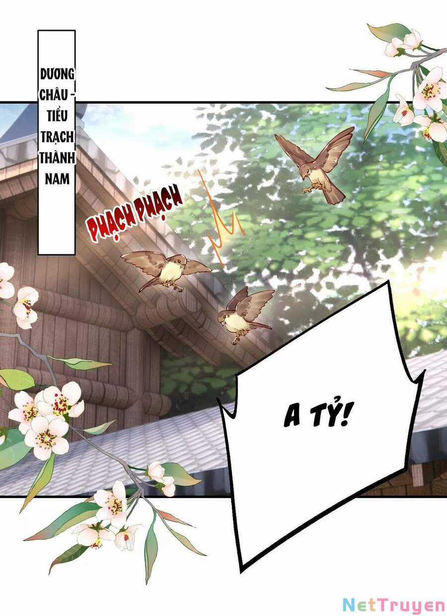 Hoàng Đệ Đừng Nhấc Đao Chapter 59 trang 13