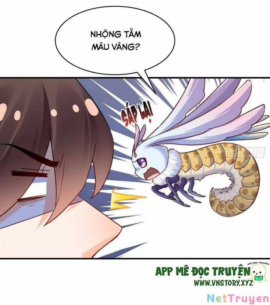 Hoàng Đệ Đừng Nhấc Đao Chapter 60 trang 42