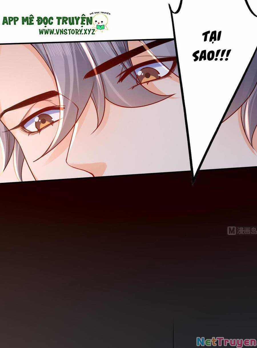 Hoàng Đệ Đừng Nhấc Đao Chapter 62 trang 17