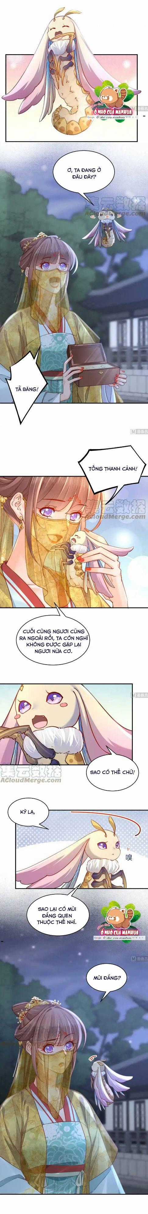 Hoàng Đệ Đừng Nhấc Đao Chapter 81 trang 5