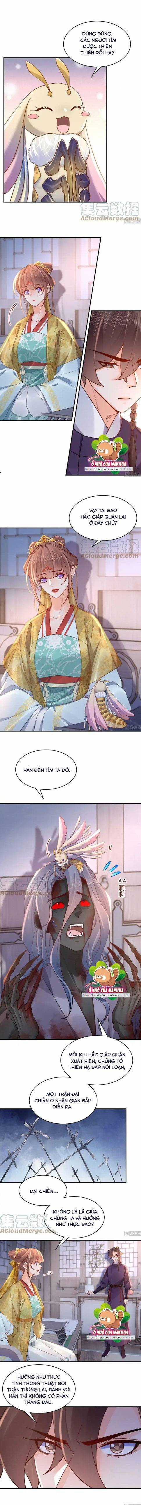 Hoàng Đệ Đừng Nhấc Đao Chapter 82 trang 4