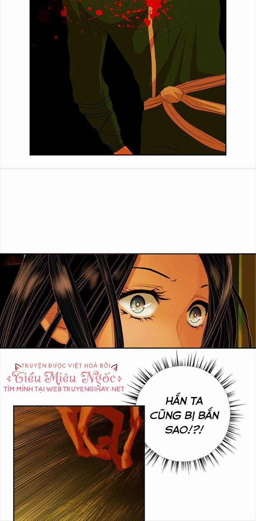 Hoàng Đế Máu Lạnh Của Tôi Chapter 2 trang 30