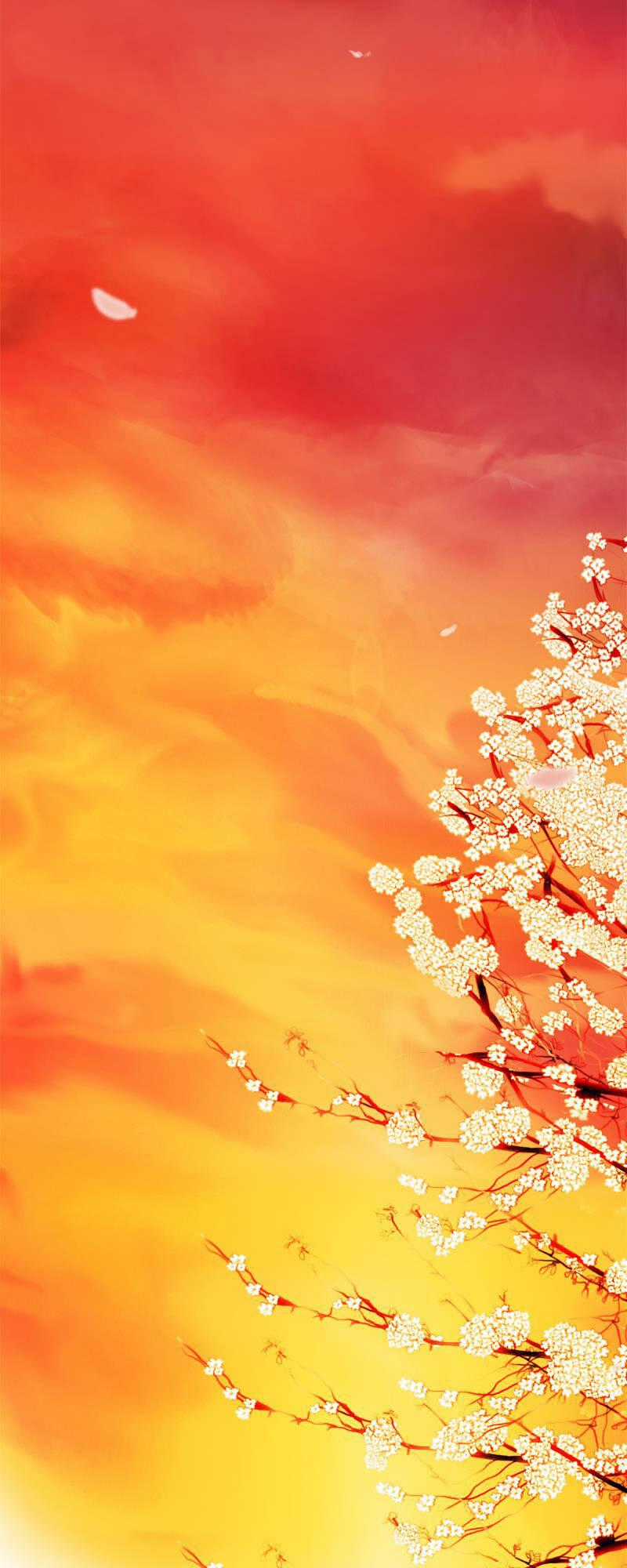 Hoàng Đế Máu Lạnh Của Tôi Chapter 20 trang 1
