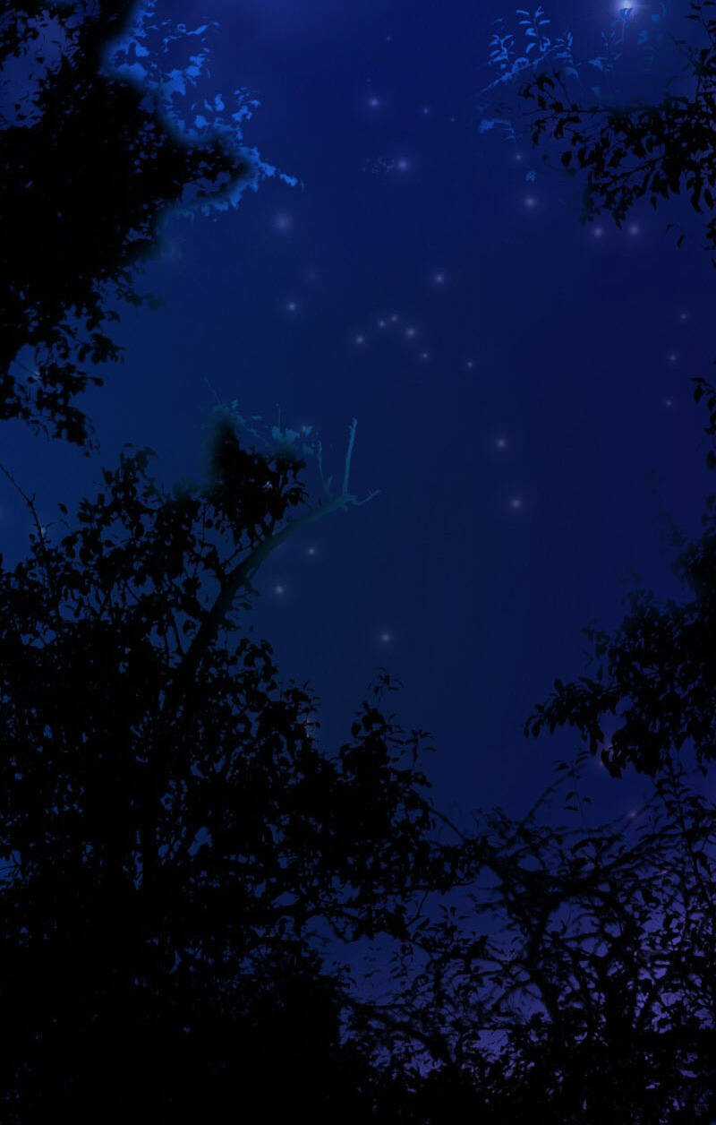 Hoàng Đế Máu Lạnh Của Tôi Chapter 4 trang 48