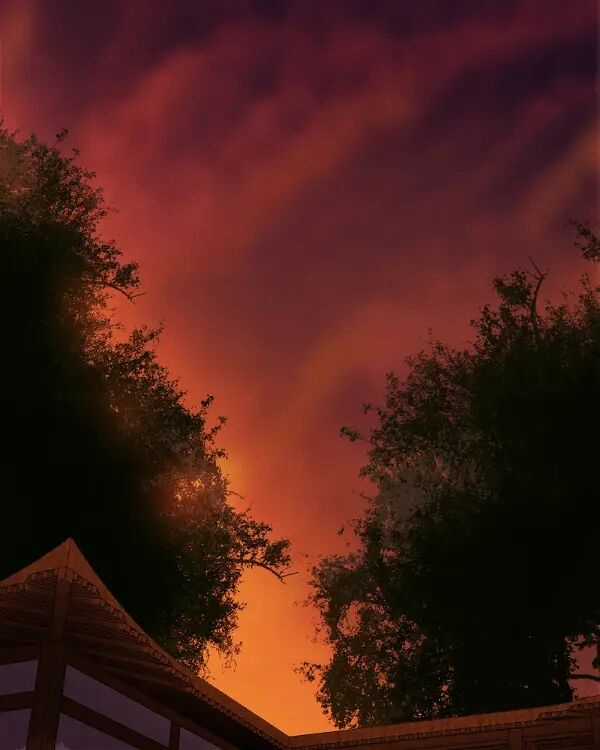 Hoàng Đế Máu Lạnh Của Tôi Chapter 62 trang 34