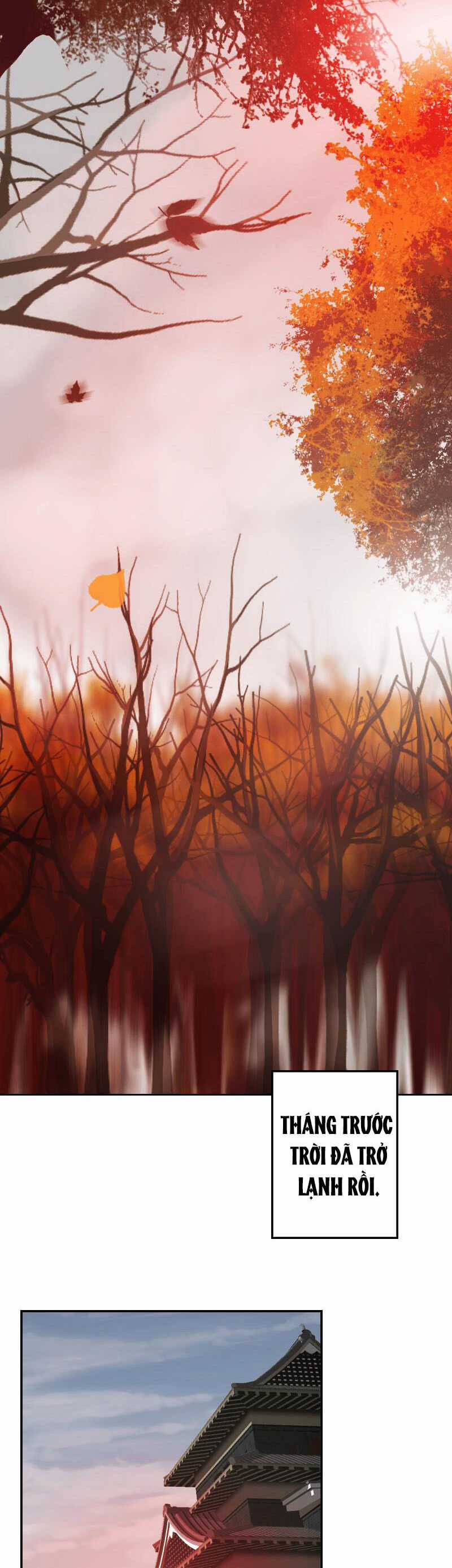 Hoàng Đế Máu Lạnh Của Tôi Chapter 69 trang 2