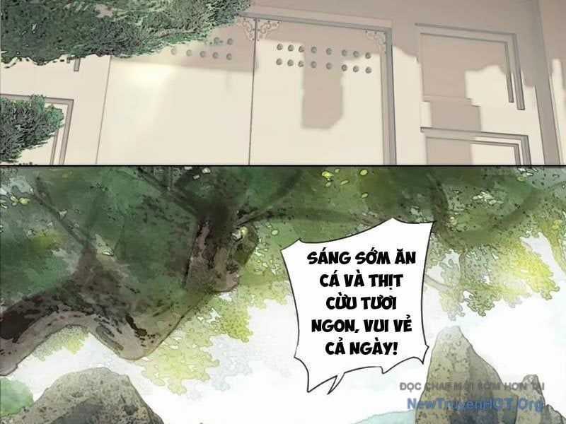 Hoàng Đế Nhà Ta Lại Là Nội Ứng Chương 10 trang 3