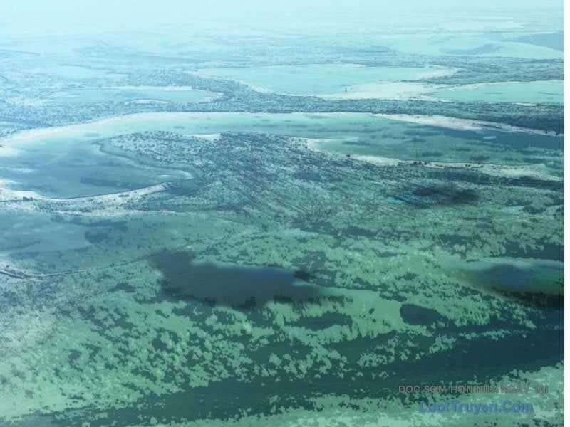 Hoàng Đế Nhà Ta Lại Là Nội Ứng Chương 22 trang 55