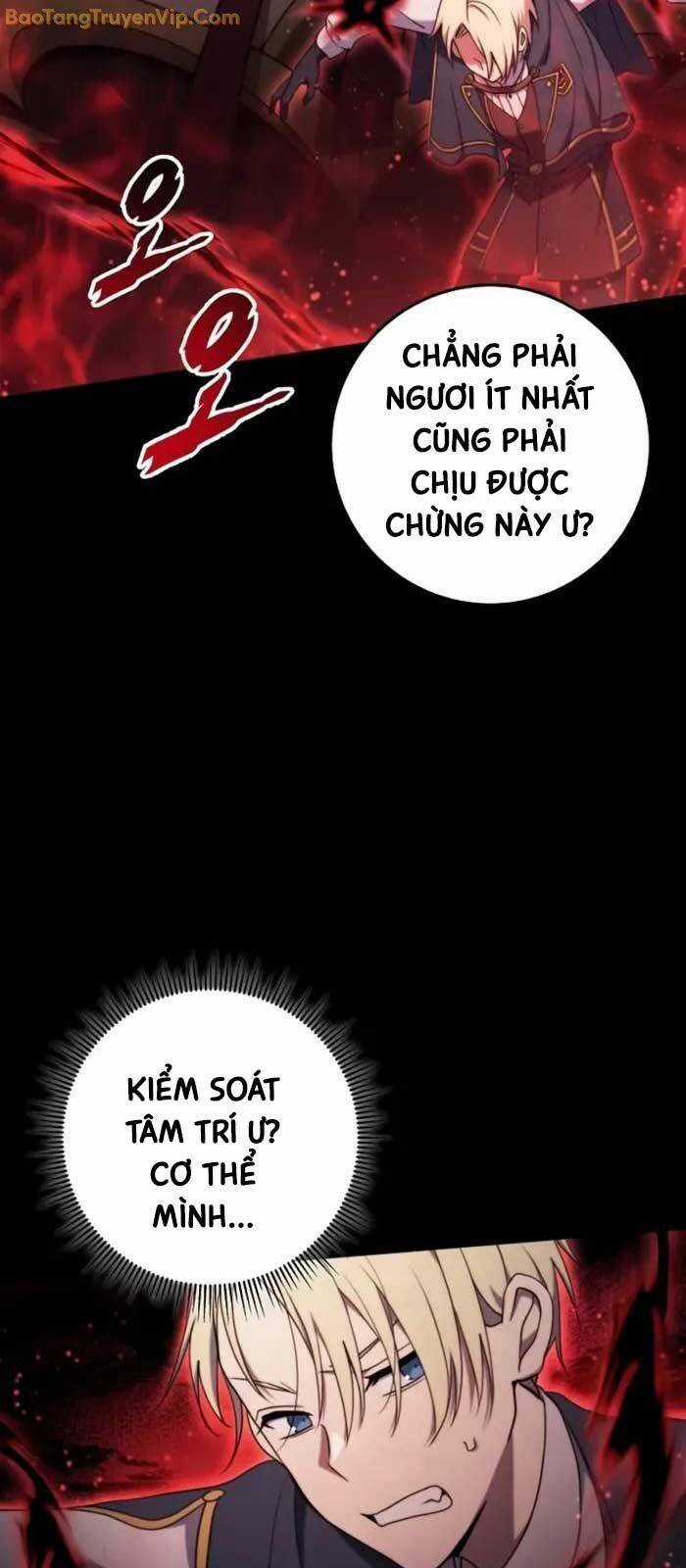 Hoàng Đế Thép Chương 13 trang 17