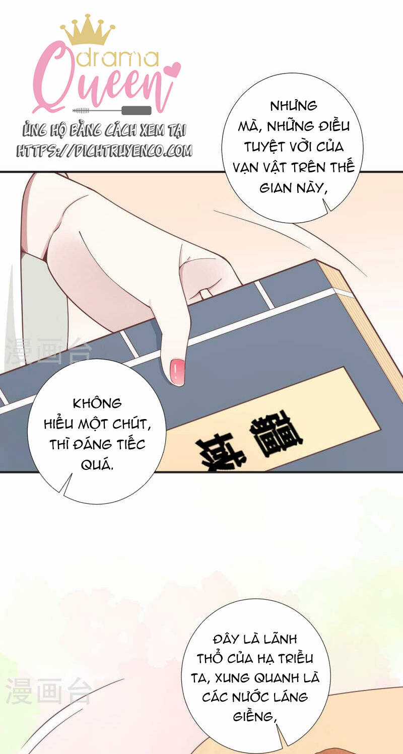 Hoàng Hậu Bận Lắm Chapter 204 trang 12